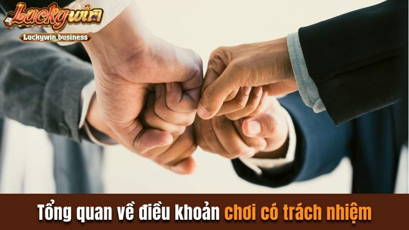 Tổng quan về điều khoản chơi có trách nhiệm tại Luckywin